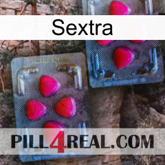 Sextra 14